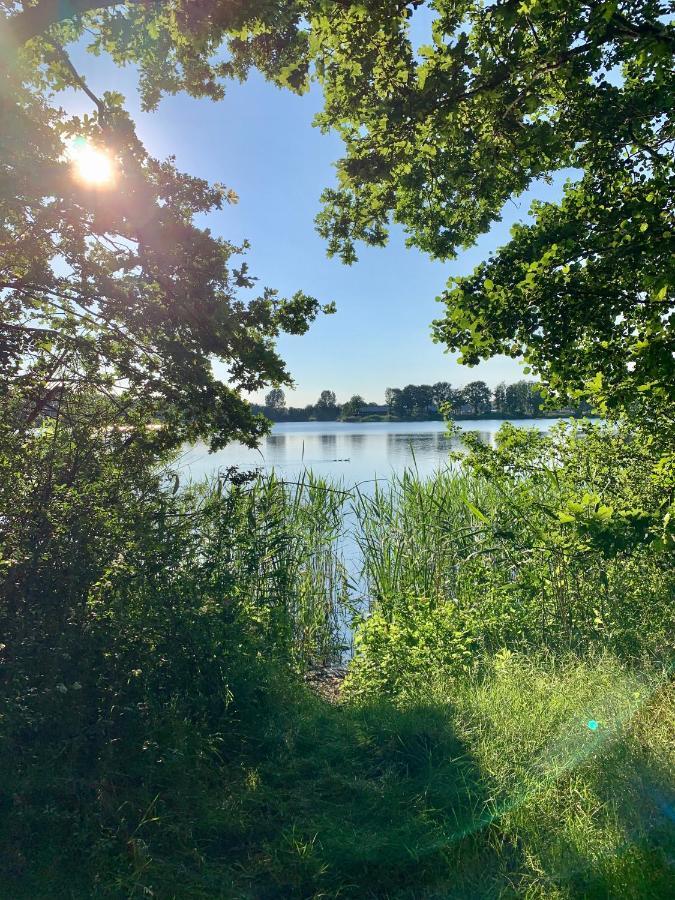 Ferienhaus Seeblick Am Harkebruegger See Mit Sauna Und Kamin Barssel  外观 照片