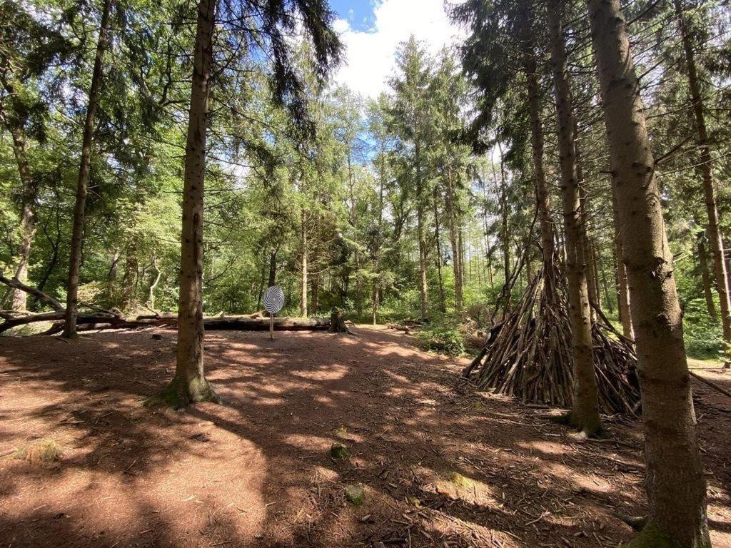 Ferienhaus Seeblick Am Harkebruegger See Mit Sauna Und Kamin Barssel  外观 照片